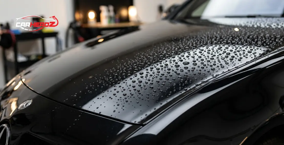 car ceramic coating water beading effect showing paint protection and glossy surface